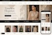 build shopify website,design redesign shopify store, shopify dropshipping store