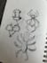 create a basic tattoo sketch