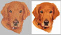 emroidery digitizer convert you live image in emb