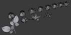 high quality vfx flower animations, cgi 3d plant design, 3d flower rendering