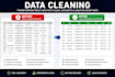 do professional data cleaning in excel and CSV files