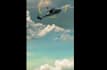 create collage animation, lyrics animation, and vox style video