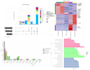 do bioinformatics analysis, data visualization using r, python and linux