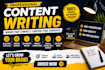 write professional SEO blog posts and articles