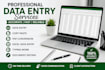 do data entry and online document work
