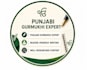write SEO friendly health blogs articles