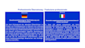 translate legal and technical documents professionally