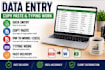 do data entry, copy paste, typing and PDF to word excel work