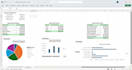 provide excel mastery and admin support
