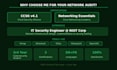 audit your network security and deliver a professional report