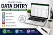 provide professional data entry, web research