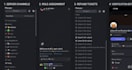 setup your discord server and manage too
