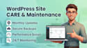 provide expert wordpress website maintenance and critical issue resolution