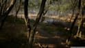 build realistic forest and outdoor environments in ue5