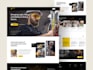 convert wix to wordpress, webflow to wordpress, clone website with elementor pro