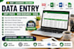 do professional data entry, copy paste, PDF to word and exc