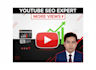 professional youtube SEO to increase views and ranking