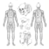 create scientific illustrations and medical figures