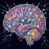 create medical and scientific illustrations