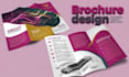 design professional flyer, brochure, company profile, booklet in 8 hours