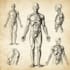 scientific diagrams and illustrations