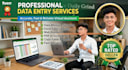 do flawless data entry web research and excel data cleaning