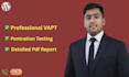 do professional vapt and pentest on website