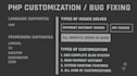 do wordpress bug fixing  and error resolution