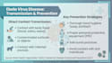 create expert medical educational content and presentation slides