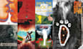 design a creative and professional poster, flyer, or advertisement