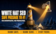 provide white hat SEO services to rank you on google