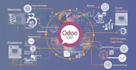 build web app, saas app, erp, pos, crm, software developer, hr, odoo, wms, lms