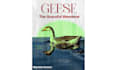 design professional event posters