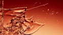 create hyper realistic 3d cosmetics product animation, 3d perfume animation