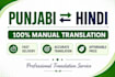 translate punjabi to hindi manually