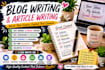 write engaging blog posts and articles