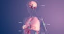 create biotech explainer animation video for startups and investors