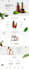 convert figma xd psd to react js nextjs or tailwind css or wordress