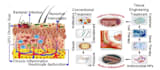 scientific illustrations, infographics and animations