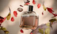 create photorealistic cgi product commercials  and ads