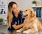 provide professional pet care and veterinary guidance