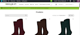 develop odoo enterprise website, ecommerce, erp and CRM