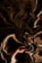 create seamless wallpaper and textile patterns for printing