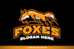 premium fox head logo design with a professional look