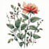 make botanical illustrations for your posters