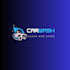 stylish and professional custom logo design