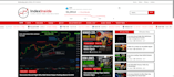 write expert forex, stock, and crypto analysis articles