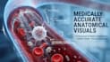 professional ai powered medical explainer animation videos