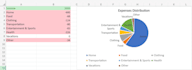 create a budget, financial overview and simple financial analysis in excel