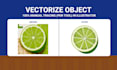 vectorize image or cartoon